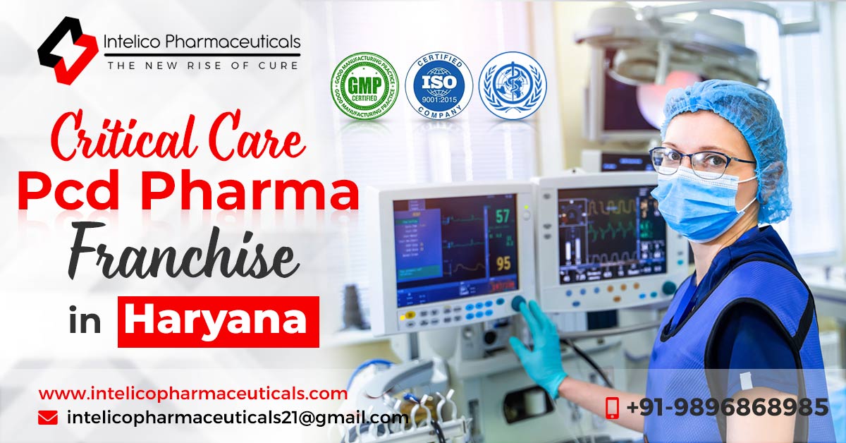 Which critical care medicine PCD company in Haryana offers the most business-oriented services to its franchise?