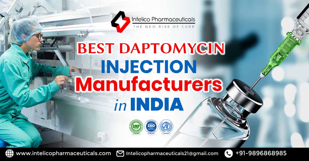 Top Daptomycin Injection Manufacturers in India